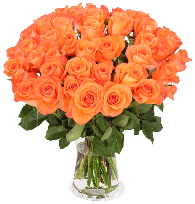BlumenstraußVersand Finden Sie den perfekten Blumenstrauß Produkte